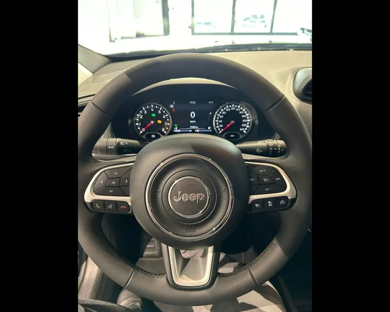 Jeep Renegade usata a Alessandria (6)