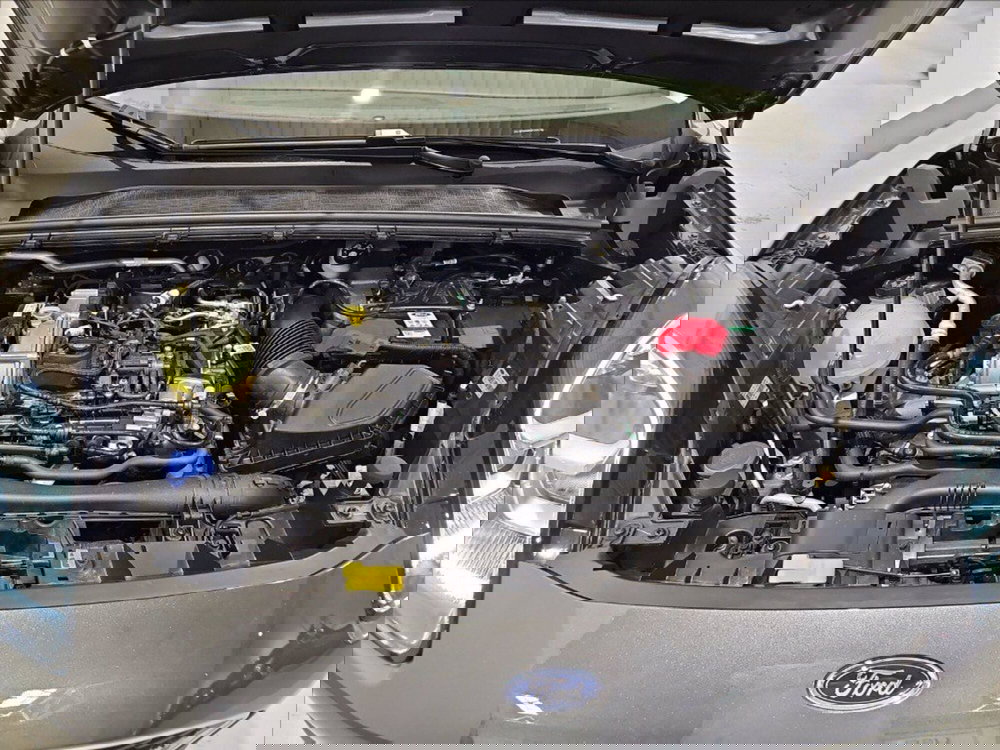 Ford Puma usata a Palermo (20)