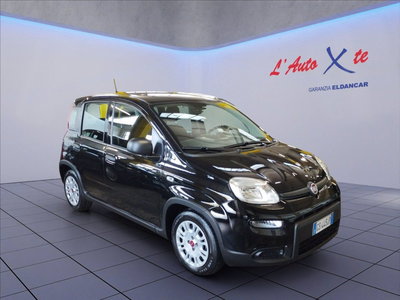 Fiat Panda Cross Cross 1.0 FireFly S&amp;S Hybrid del 2023 usata a Trezzano sul Naviglio