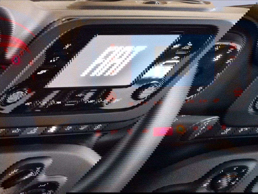 Fiat Panda Cross usata a Milano (11)