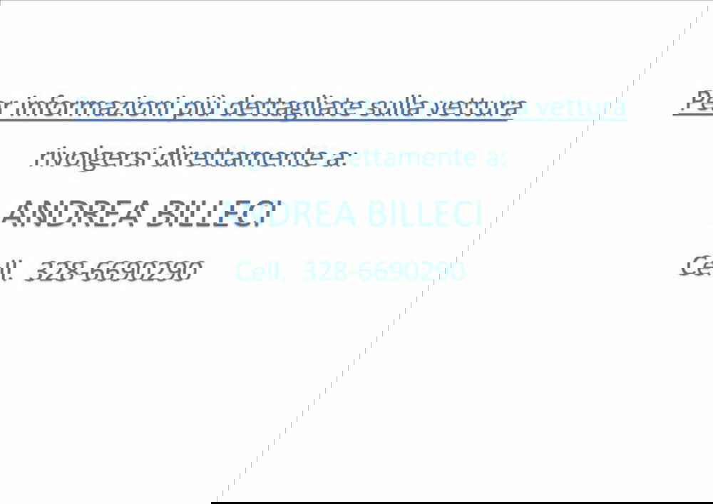 Fiat Panda Cross usata a Milano (14)