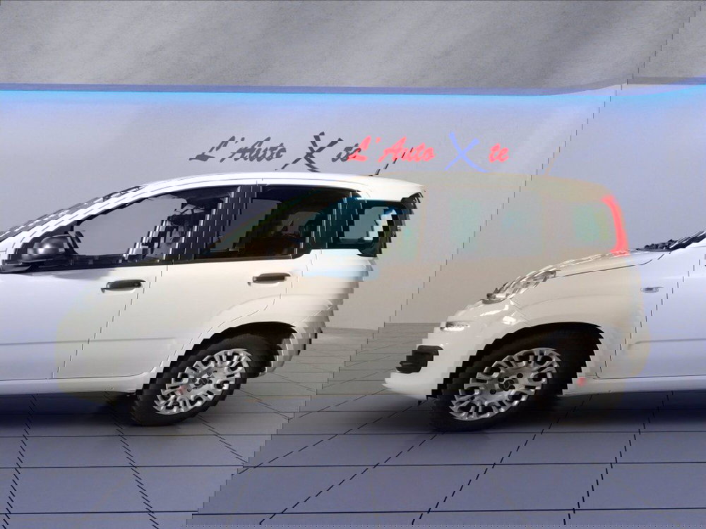 Fiat Panda usata a Milano (5)