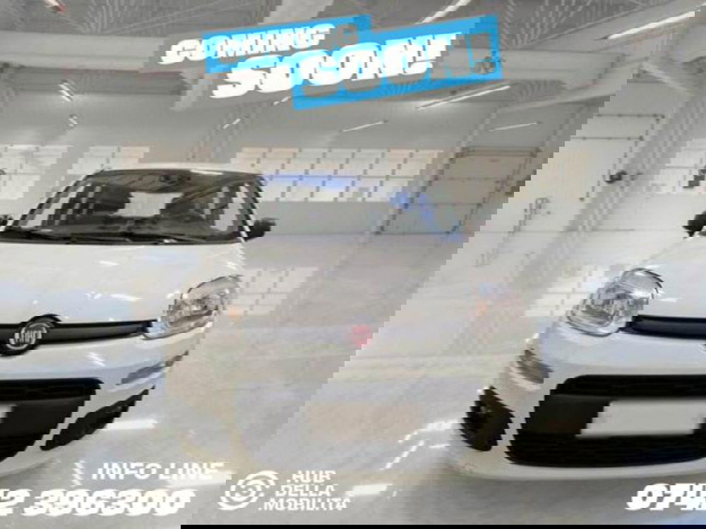 Fiat Panda usata a Perugia