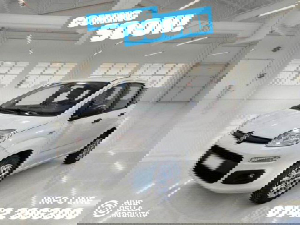 Fiat Panda usata a Perugia (2)