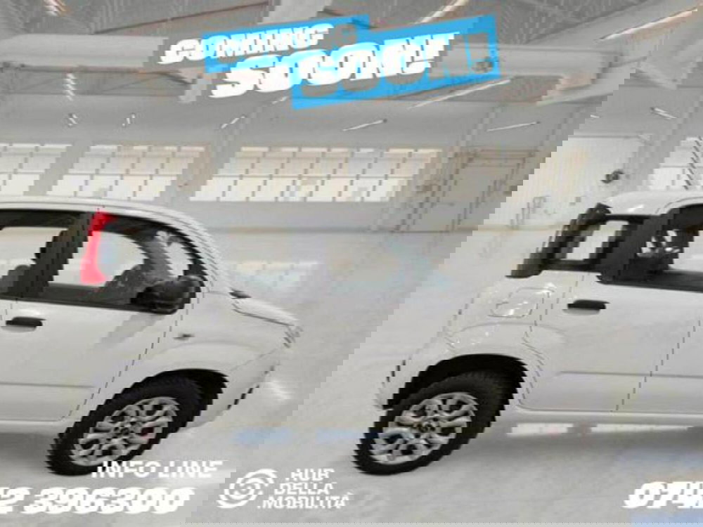 Fiat Panda usata a Perugia (3)