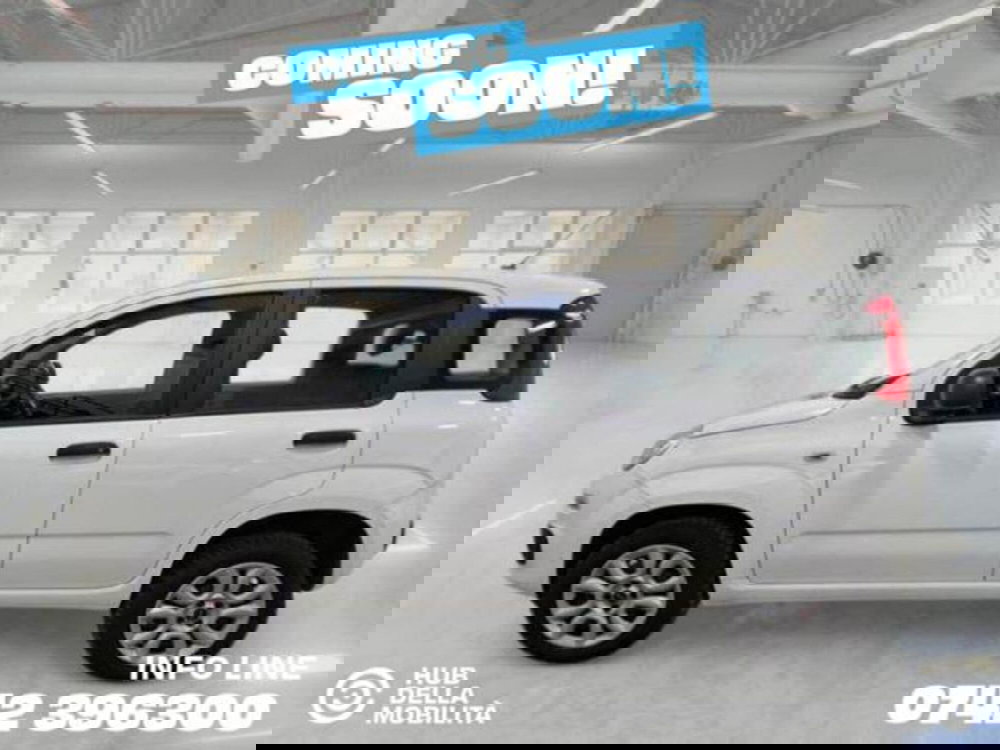 Fiat Panda usata a Perugia (4)