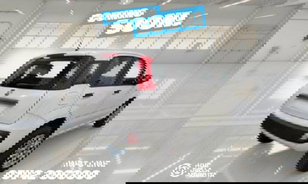 Fiat Panda usata a Perugia (5)