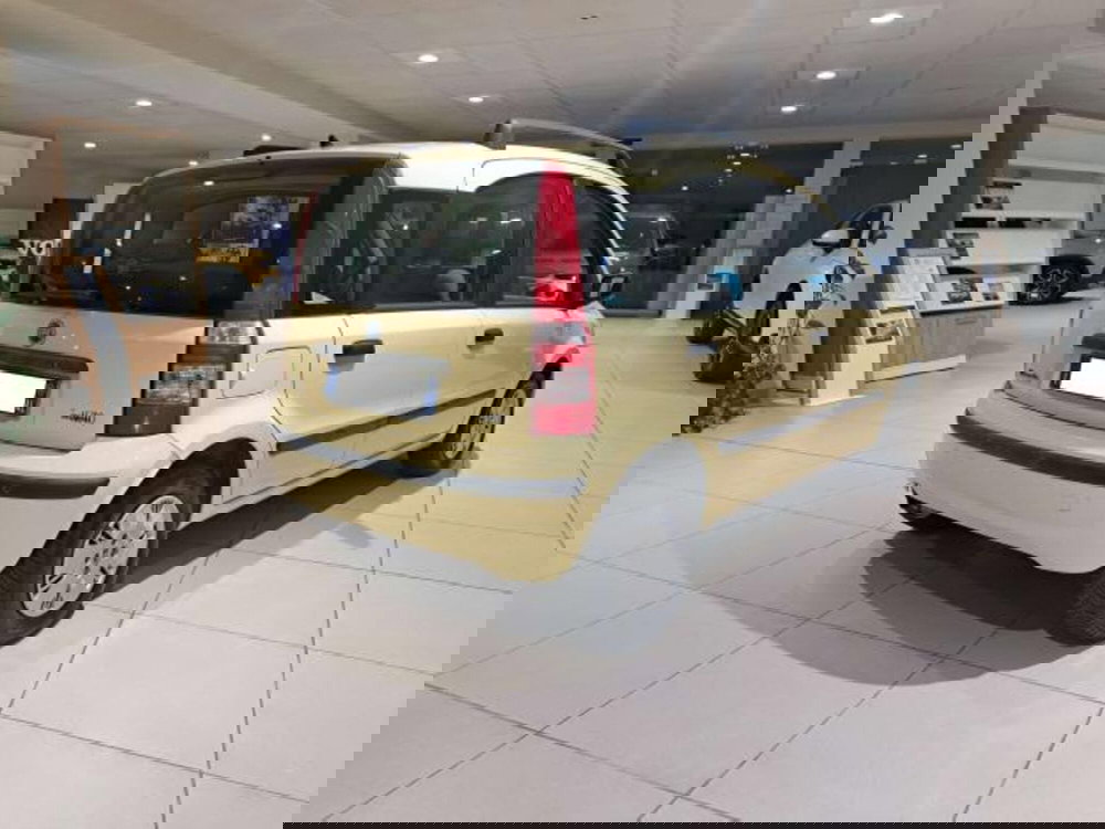 Fiat Panda usata a Savona (5)