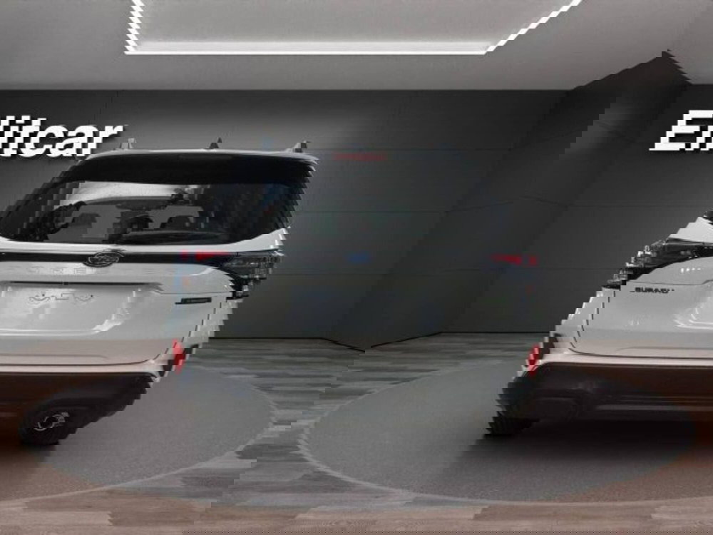 Subaru Forester nuova a Novara (4)