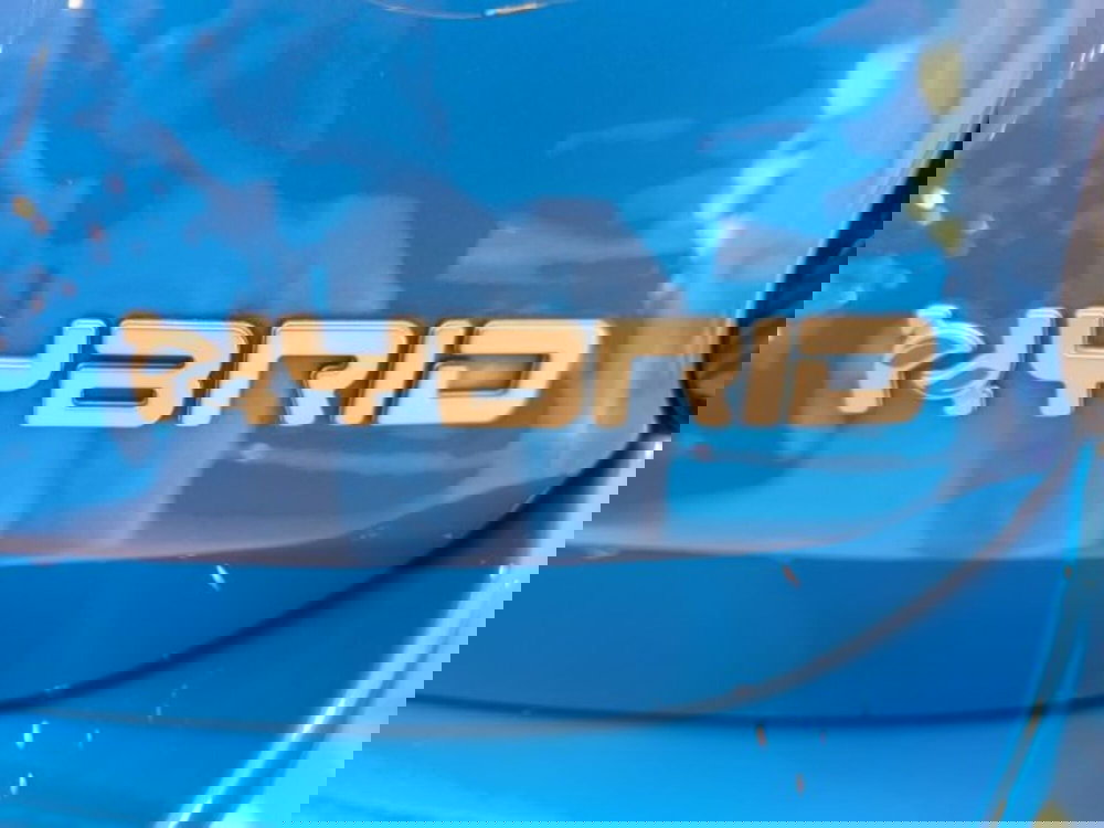 Fiat 500X usata a Firenze (20)