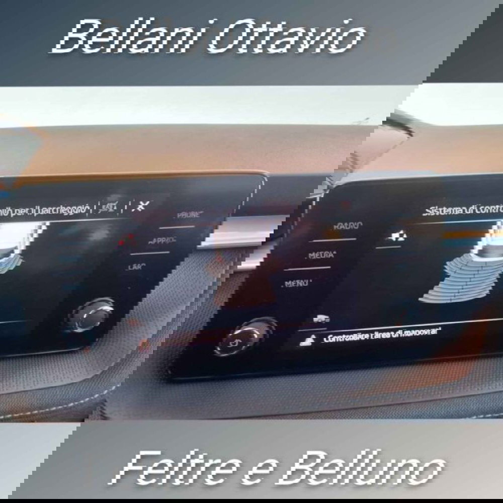 Skoda Fabia usata a Belluno (11)