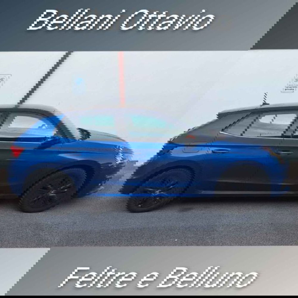 Skoda Fabia usata a Belluno (3)