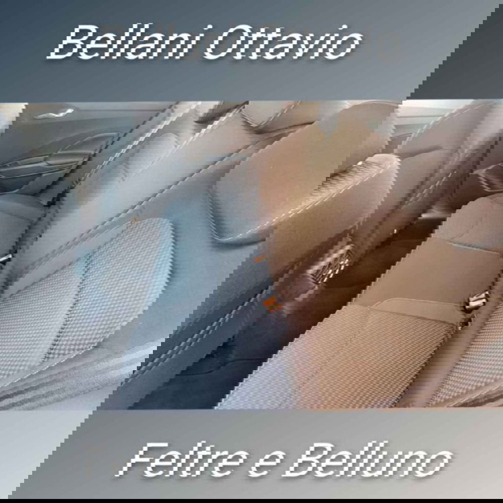 Skoda Fabia usata a Belluno (8)