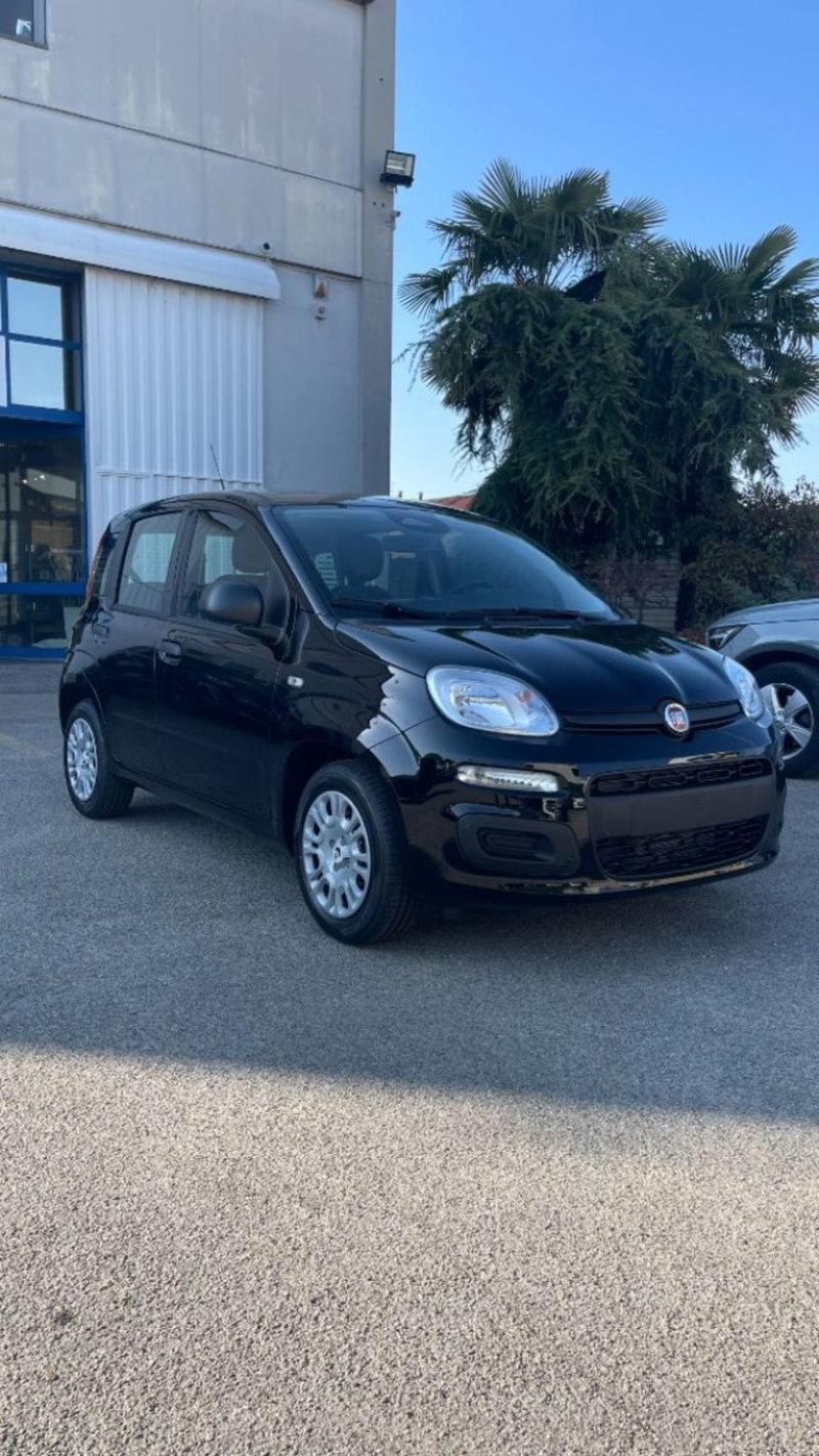 Fiat Pandina nuova a Novara