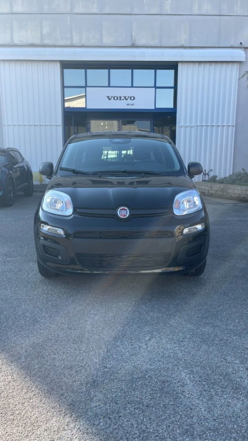 Fiat Pandina nuova a Novara (2)