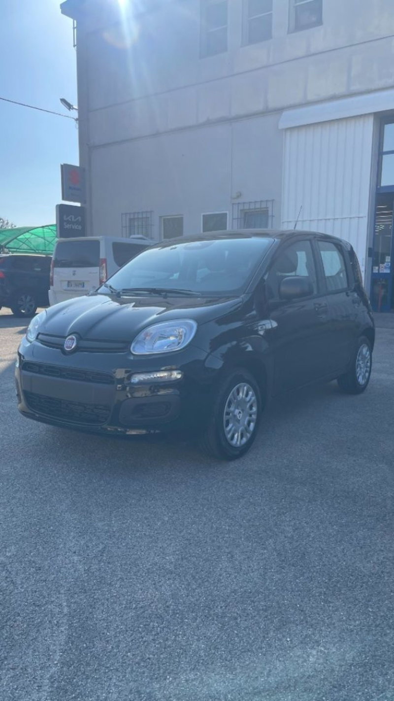 Fiat Pandina nuova a Novara (3)