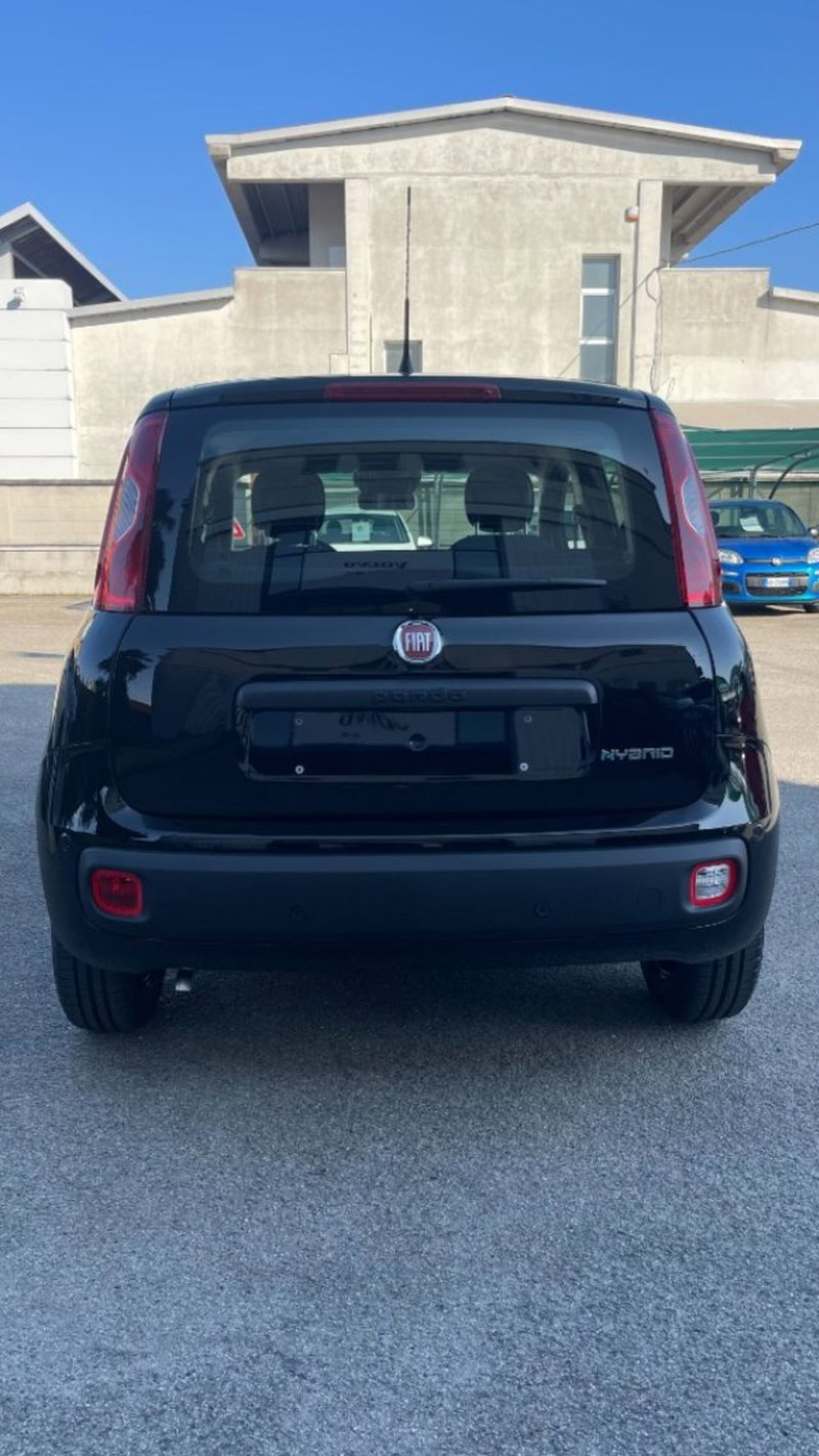 Fiat Pandina nuova a Novara (4)