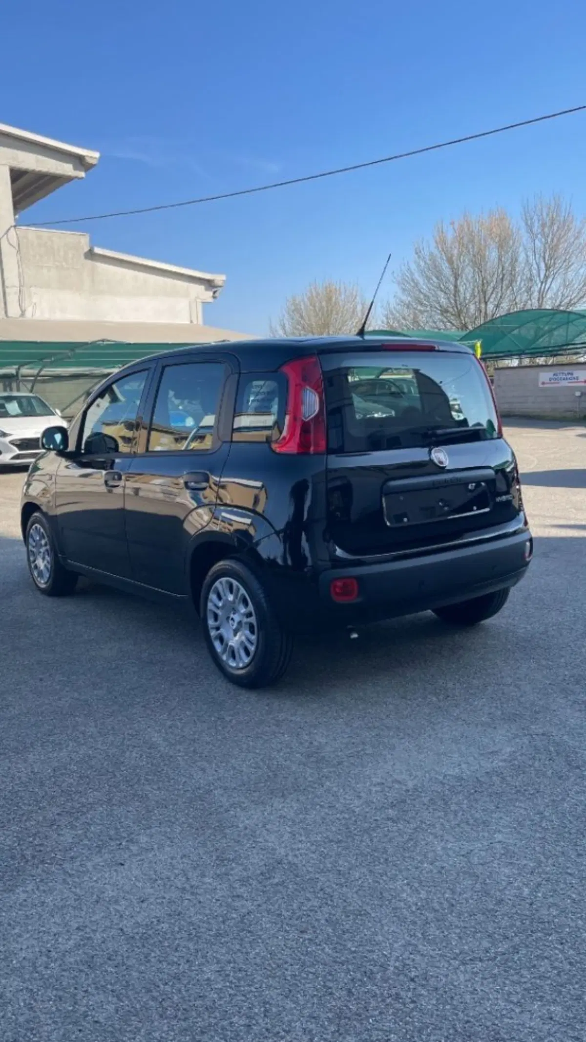 Fiat Pandina nuova a Novara (5)