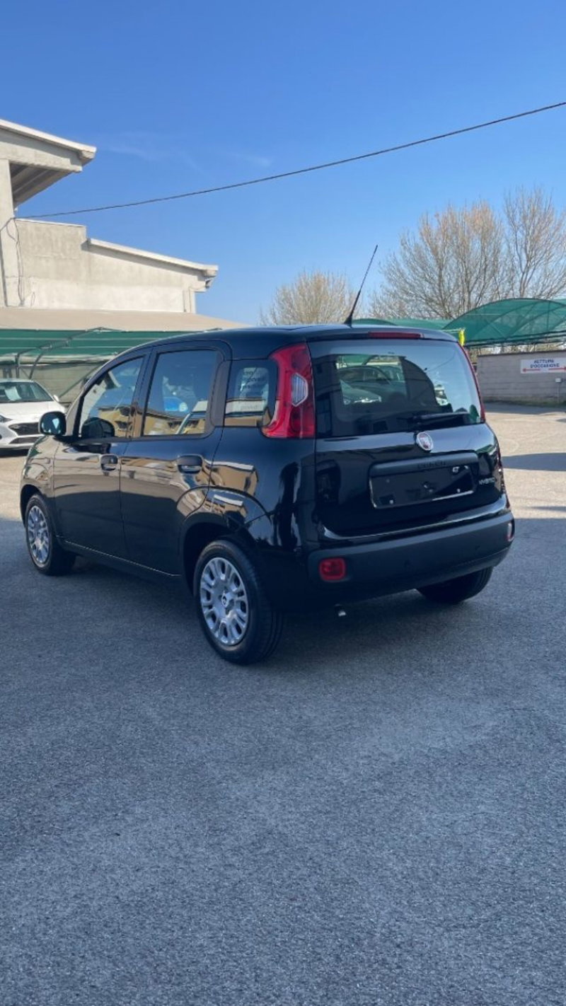 Fiat Pandina nuova a Novara (5)