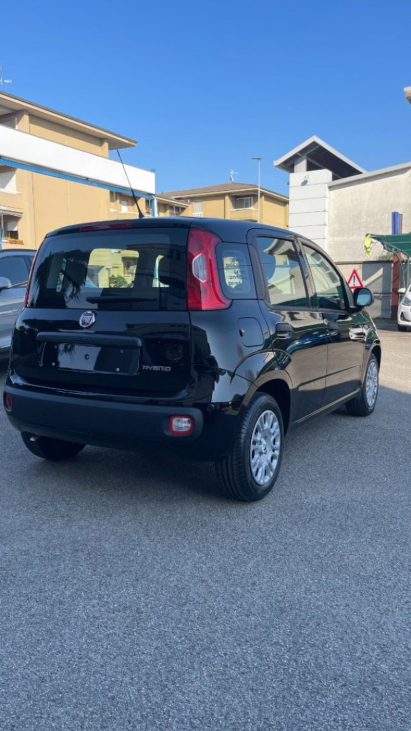 Fiat Pandina nuova a Novara (6)