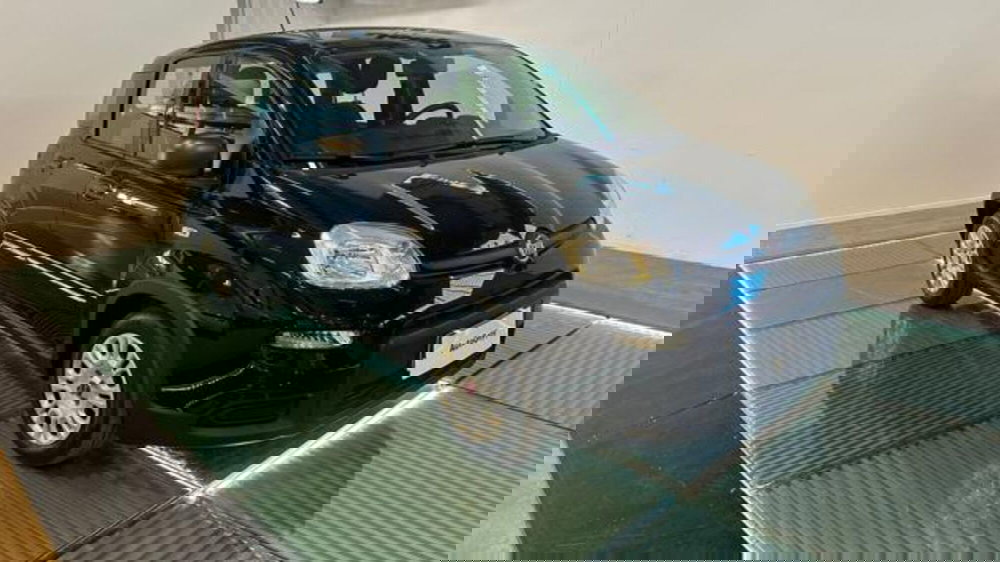 Fiat Panda usata a Reggio Emilia