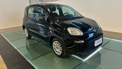 Fiat Panda 1.0 firefly hybrid s&amp;s 70cv 5p.ti del 2023 usata a Reggio nell'Emilia