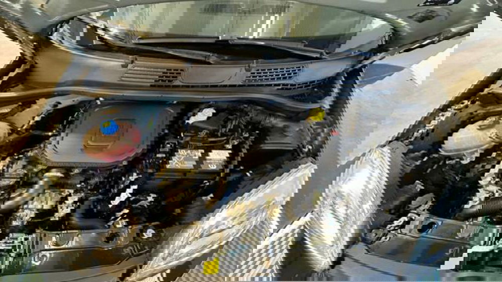 Fiat Panda usata a Reggio Emilia (18)