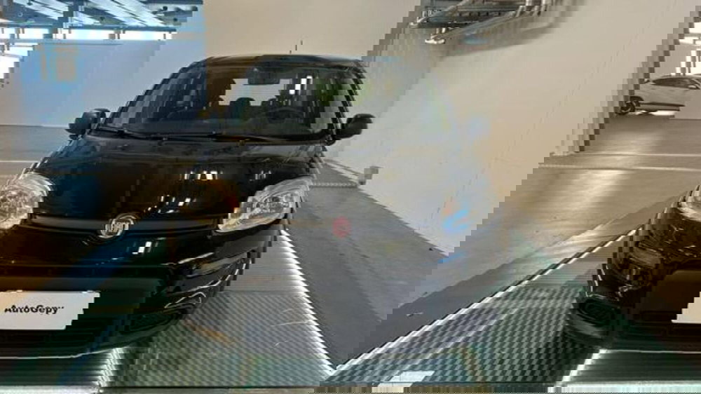 Fiat Panda usata a Reggio Emilia (2)