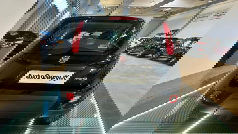 Fiat Panda usata a Reggio Emilia (5)