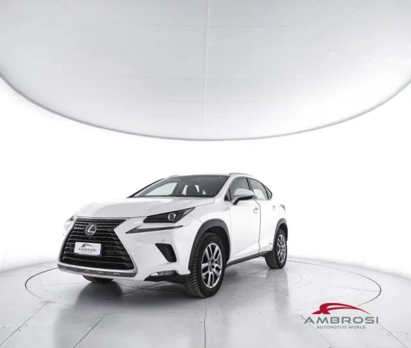Lexus NX usata a Perugia