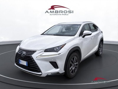 Lexus NX Hybrid 4WD Executive del 2018 usata a Corciano
