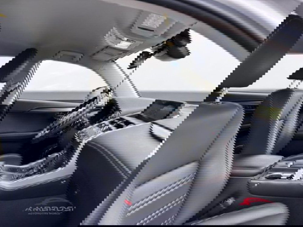 Lexus NX usata a Perugia (12)