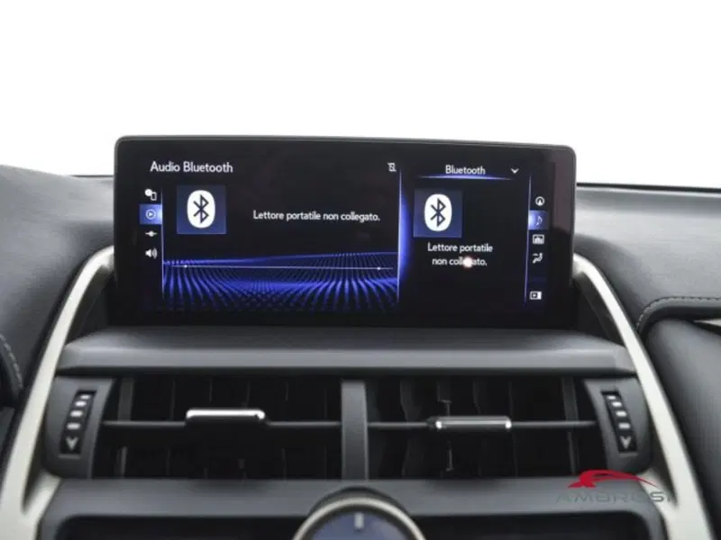 Lexus NX usata a Perugia (15)