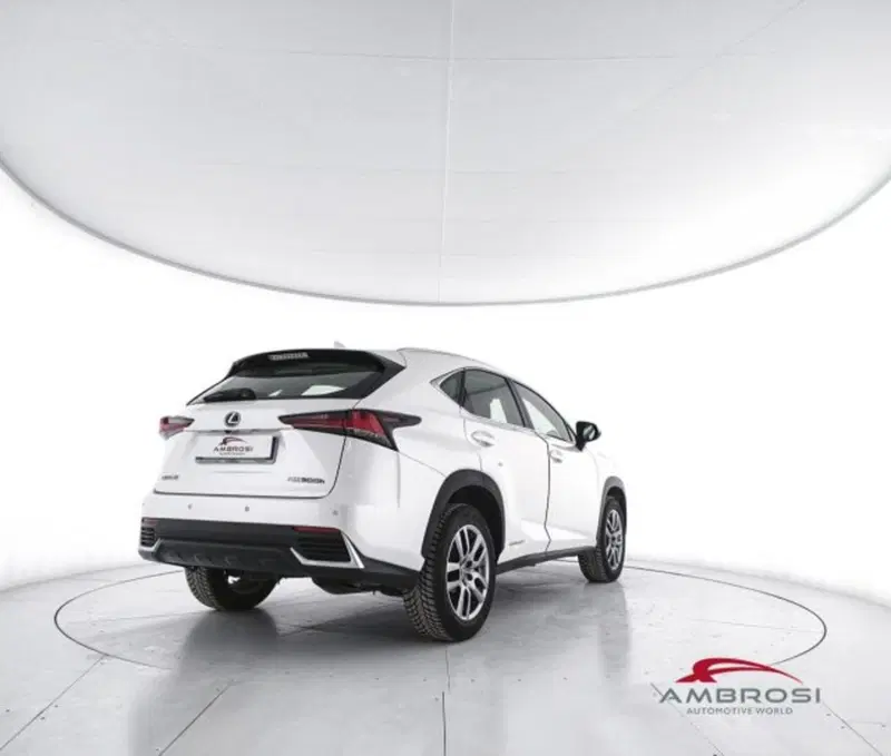 Lexus NX usata a Perugia (3)