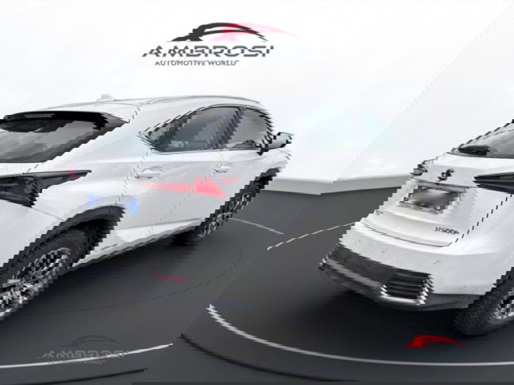 Lexus NX usata a Perugia (3)