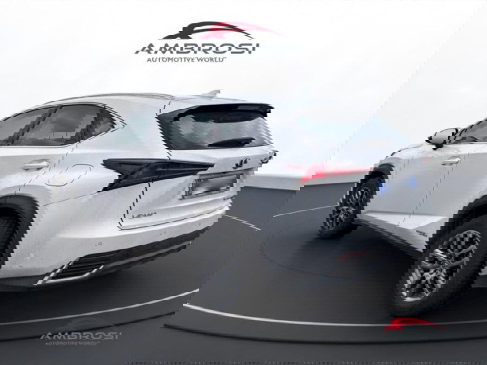 Lexus NX usata a Perugia (4)