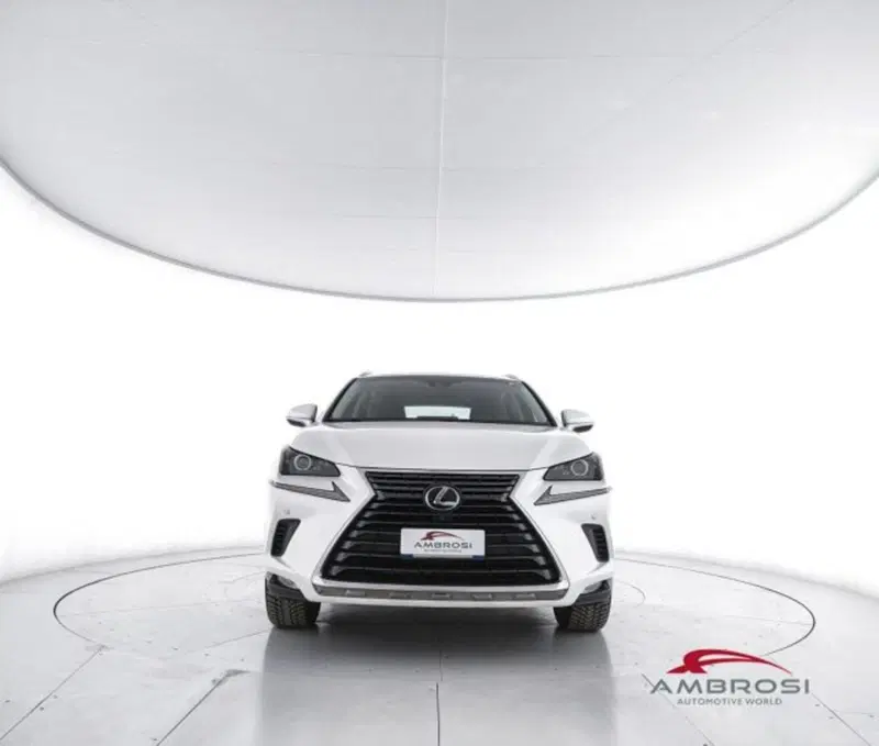 Lexus NX usata a Perugia (5)