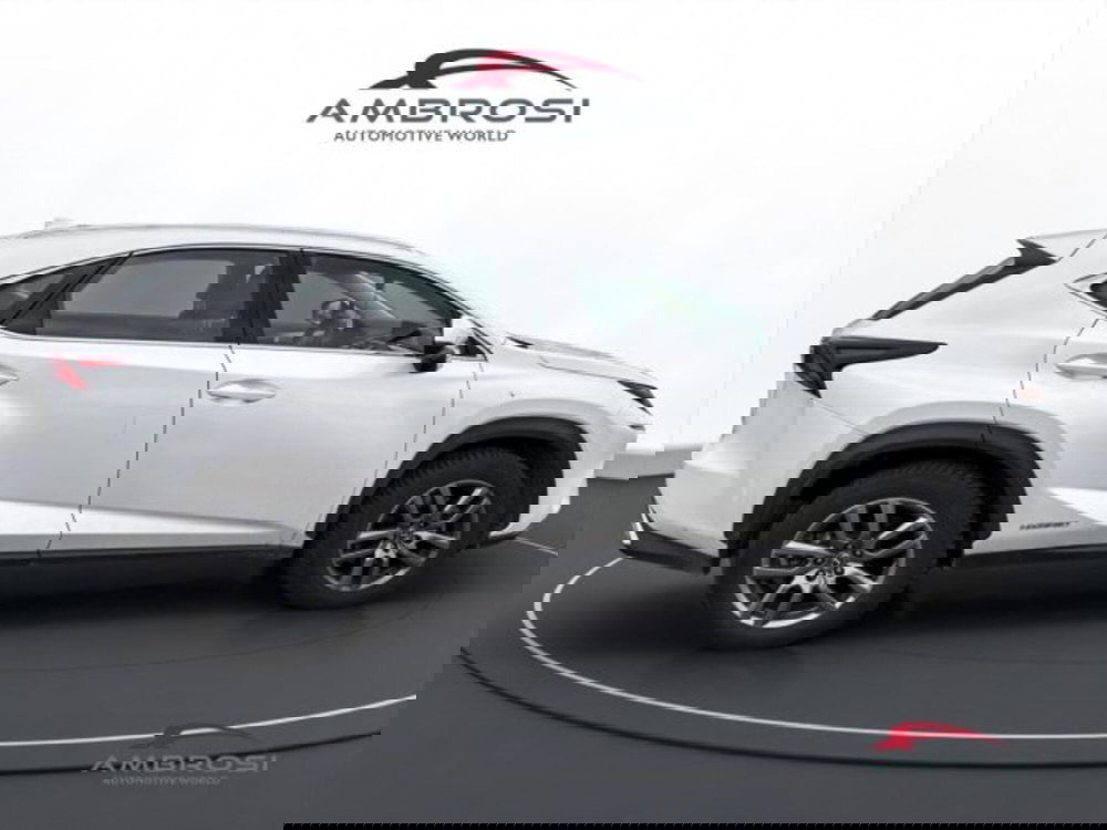 Lexus NX usata a Perugia (5)