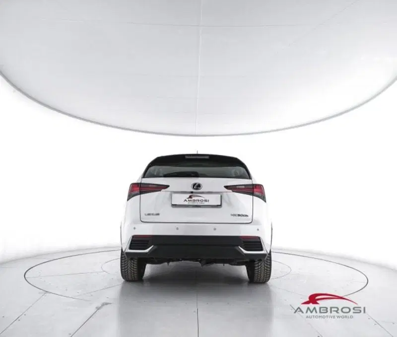 Lexus NX usata a Perugia (6)
