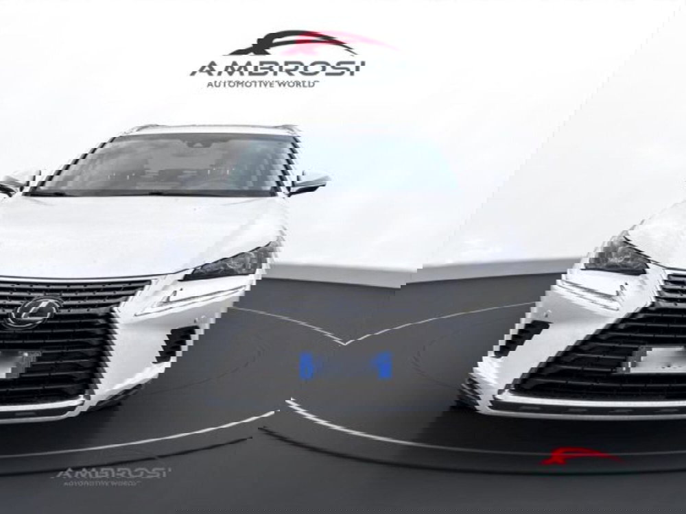 Lexus NX usata a Perugia (7)
