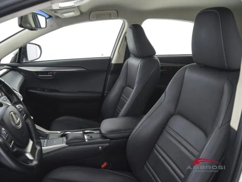 Lexus NX usata a Perugia (9)