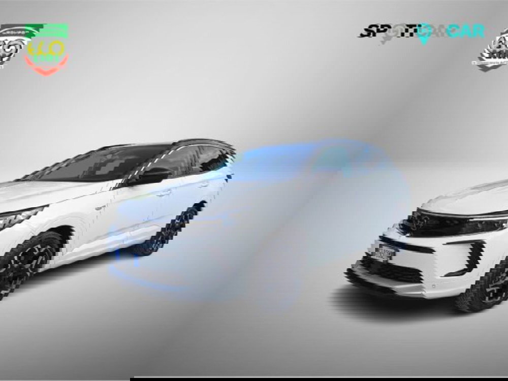 Opel Grandland usata a Frosinone (17)