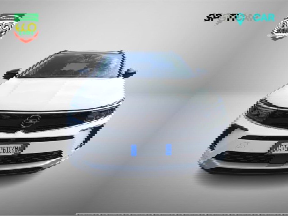 Opel Grandland usata a Frosinone (2)