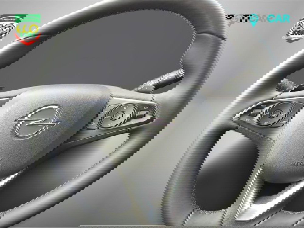 Opel Grandland usata a Frosinone (20)