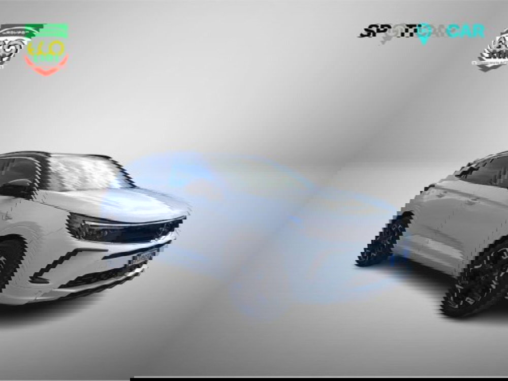 Opel Grandland usata a Frosinone (3)