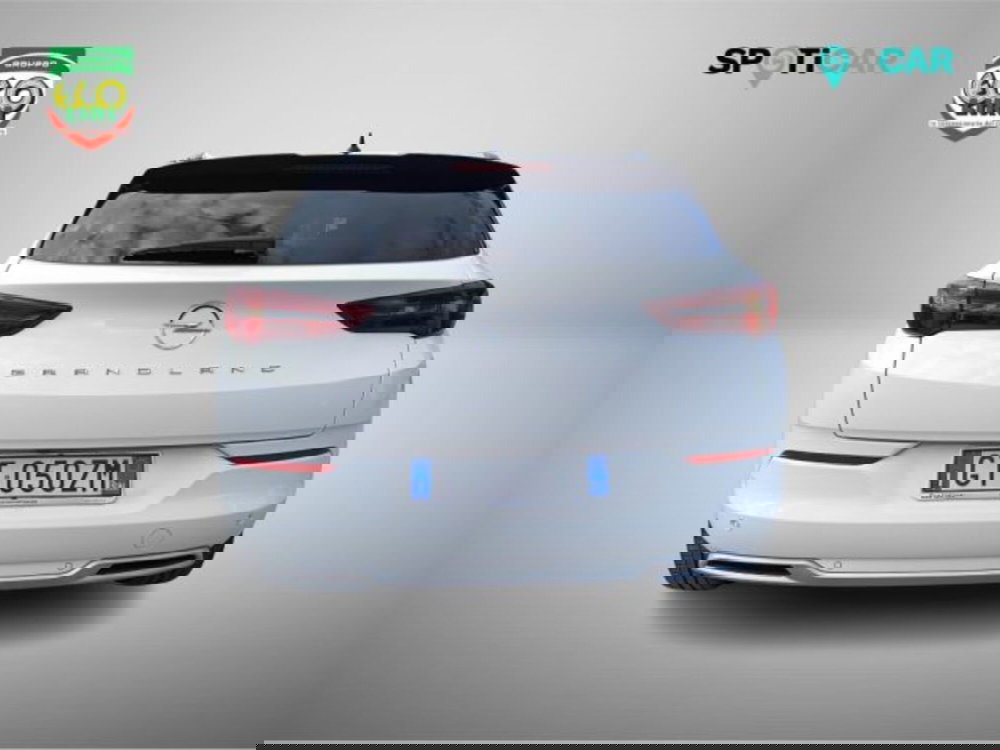 Opel Grandland usata a Frosinone (5)
