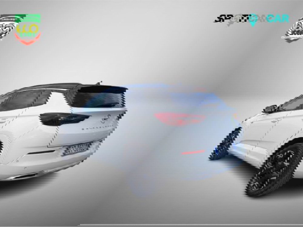 Opel Grandland usata a Frosinone (7)