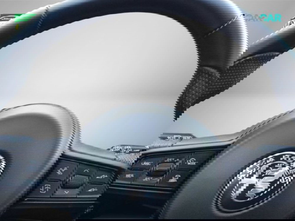 Alfa Romeo Tonale usata a Frosinone (13)