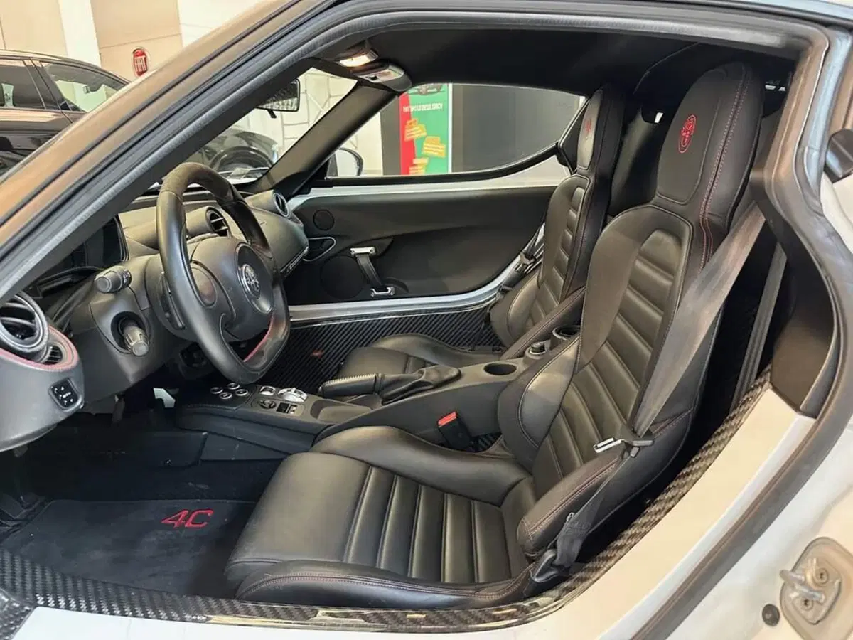 Alfa Romeo 4C Coupé usata a Sondrio (10)