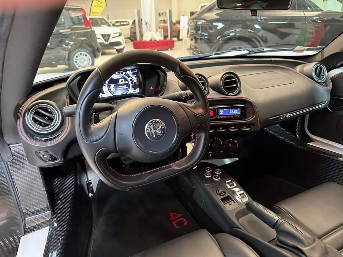 Alfa Romeo 4C Coupé usata a Sondrio (11)